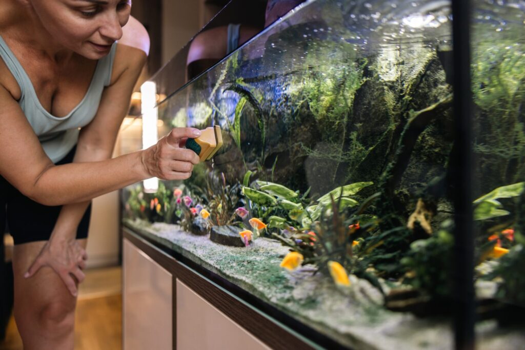 La femme utilise du temps libre pour nettoyer l'aquarium, ses poissons apprécieront dans l'eau transparente.