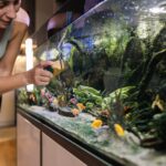 La femme utilise du temps libre pour nettoyer l'aquarium, ses poissons apprécieront dans l'eau transparente.