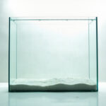 Aquarium cuve nue pour créer un univers aquatique sur mesure