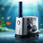 Pompe à air pour aquarium: un allié essentiel