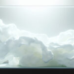 Eau laiteuse en aquarium : causes et solutions simples